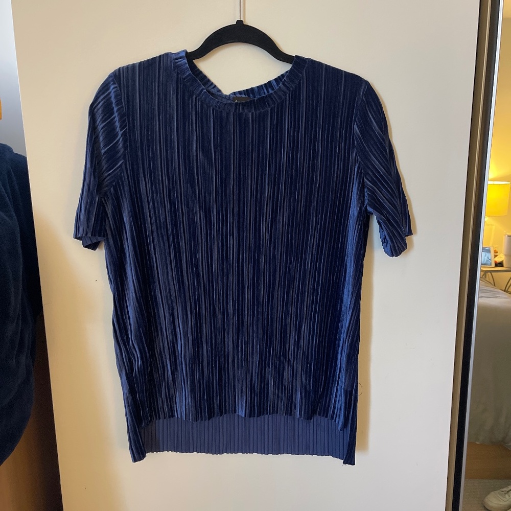 Free press velvet tee